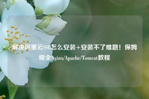 解决阿里云SSL怎么安装+安装不了难题！保姆级全Nginx/Apache/Tomcat教程