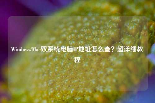 Windows/Mac双系统电脑IP地址怎么查？超详细教程