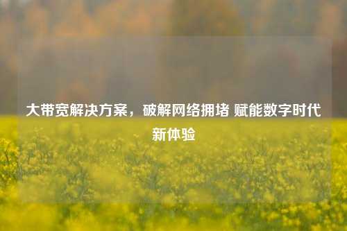 大带宽解决方案,破解网络拥堵 赋能数字时代新体验