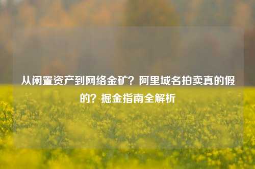 从闲置资产到网络金矿？阿里域名拍卖真的假的？掘金指南全解析