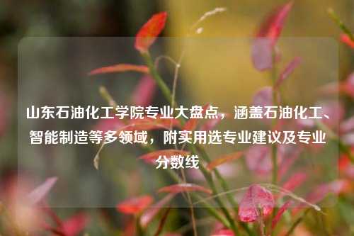 山东石油化工学院专业大盘点，涵盖石油化工、智能制造等多领域，附实用选专业建议及专业分数线