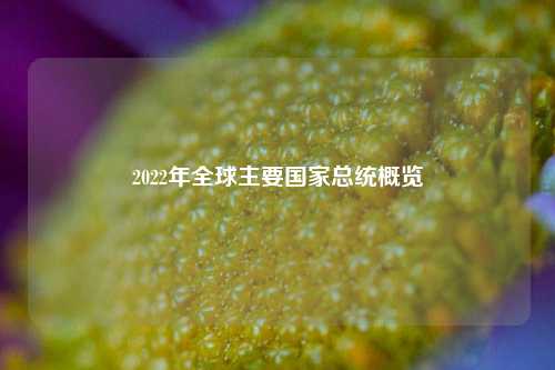 2022年全球主要国家总统概览