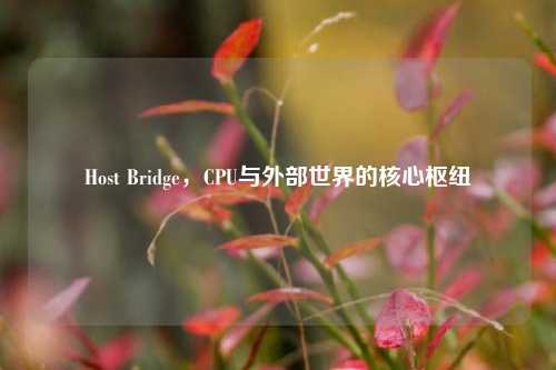 Host Bridge，CPU与外部世界的核心枢纽