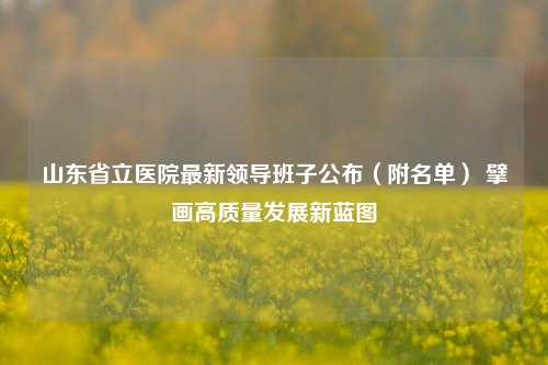 山东省立医院最新领导班子公布（附名单） 擘画高质量发展新蓝图