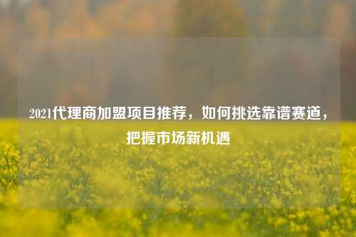 2021代理商加盟项目推荐，如何挑选靠谱赛道，把握市场新机遇