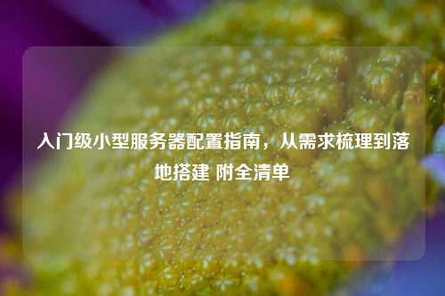 入门级小型服务器配置指南，从需求梳理到落地搭建 附全清单