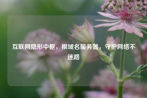 互联网隐形中枢，根域名服务器，守护网络不迷路