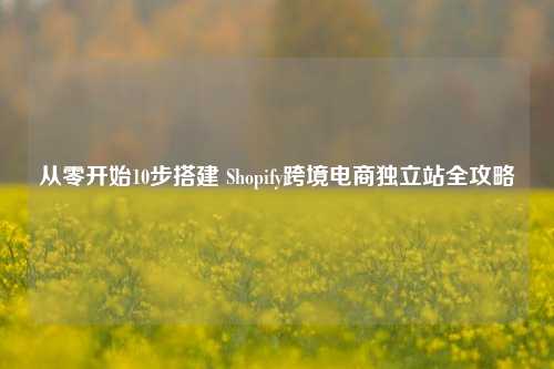 从零开始10步搭建 Shopify跨境电商独立站全攻略