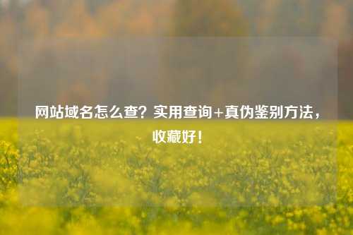 网站域名怎么查？实用查询+真伪鉴别方法，收藏好！
