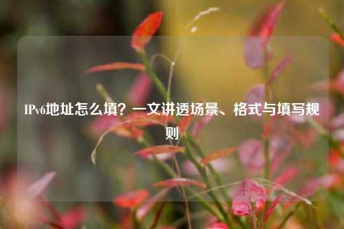 IPv6地址怎么填？一文讲透场景、格式与填写规则