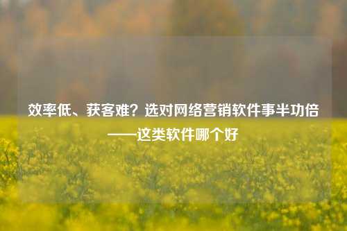 效率低、获客难？选对网络营销软件事半功倍——这类软件哪个好