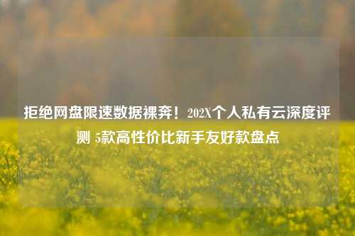 拒绝网盘限速数据裸奔！202X个人私有云深度评测 5款高性价比新手友好款盘点