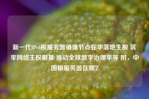 新一代IPv6根服务器镜像节点在华落地生根 筑牢网络主权根基 推动全球数字治理平等 附，中国根服务器在哪？