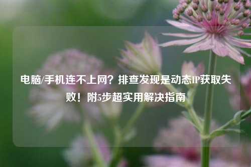 电脑/手机连不上网？排查发现是动态IP获取失败！附5步超实用解决指南