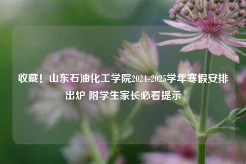 收藏！山东石油化工学院2024-2025学年寒假安排出炉 附学生家长必看提示