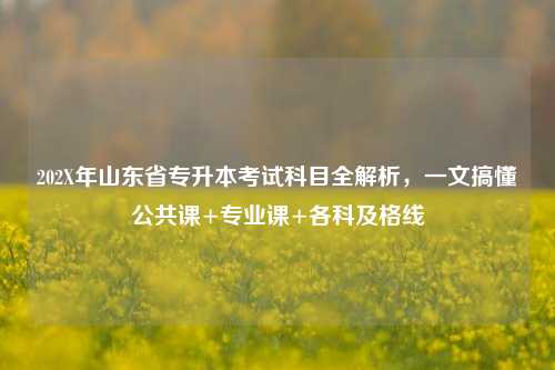 202X年山东省专升本考试科目全解析，一文搞懂公共课+专业课+各科及格线
