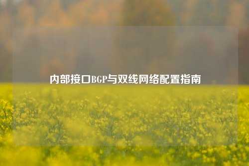 内部接口BGP与双线网络配置指南