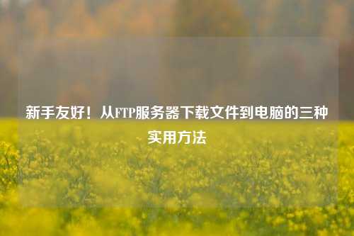 新手友好！从FTP服务器下载文件到电脑的三种实用方法