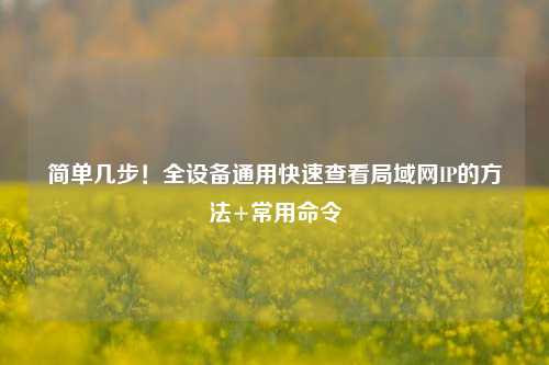 简单几步！全设备通用快速查看局域网IP的方法+常用命令