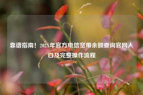 靠谱指南！202X年官方电信宽带余额查询官网入口及完整操作流程