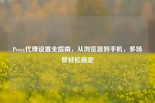 Proxy代理设置全指南,从浏览器到手机,多场景轻松搞定