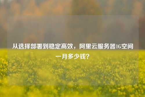 从选择部署到稳定高效,阿里云服务器1G空间一月多少钱?