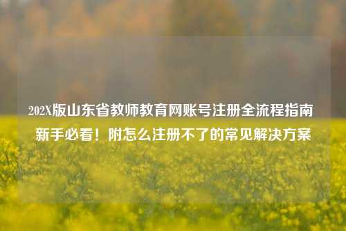 202X版山东省教师教育网账号注册全流程指南 新手必看！附怎么注册不了的常见解决方案