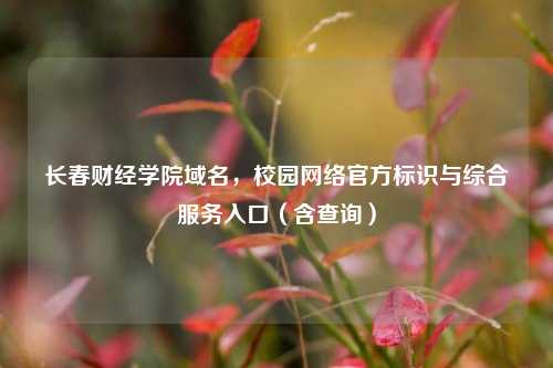 长春财经学院域名,校园网络官方标识与综合服务入口(含查询)