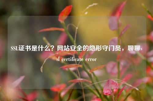 SSL证书是什么?网站安全的隐形守门员,聊聊ssl certificate error