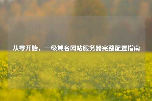 从零开始，一级域名网站服务器完整配置指南