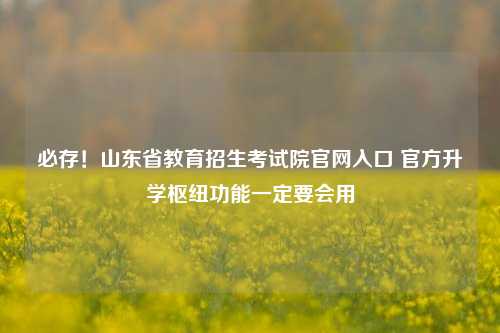 必存！山东省教育招生考试院官网入口 官方升学枢纽功能一定要会用