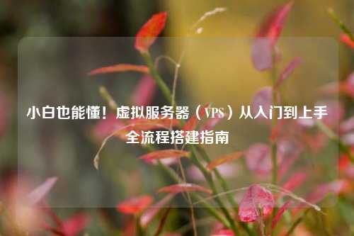 小白也能懂!虚拟服务器(VPS)从入门到上手全流程搭建指南