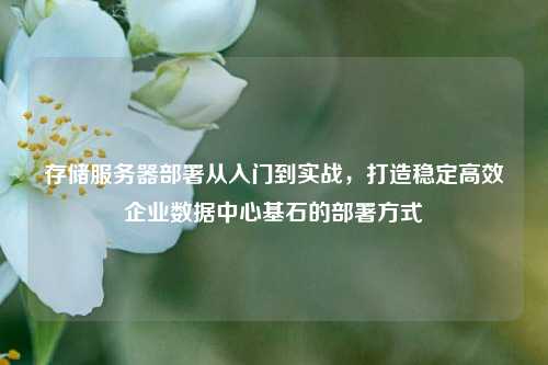 存储服务器部署从入门到实战,打造稳定高效企业数据中心基石的部署方式