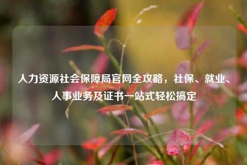 人力资源社会保障局官网全攻略,社保、就业、人事业务及证书一站式轻松搞定