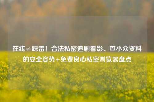 在线≠踩雷！合法私密追剧看影、查小众资料的安全姿势+免费良心私密浏览器盘点