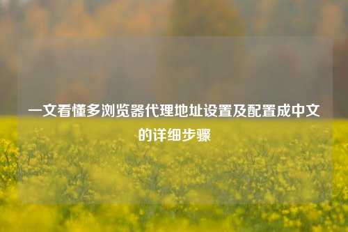 一文看懂多浏览器代理地址设置及配置成中文的详细步骤