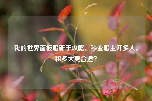 我的世界面板服新手攻略，秒变服主开多人，租多大更合适？