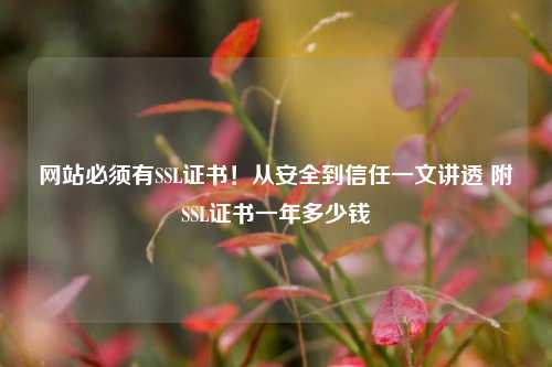网站必须有SSL证书！从安全到信任一文讲透 附SSL证书一年多少钱