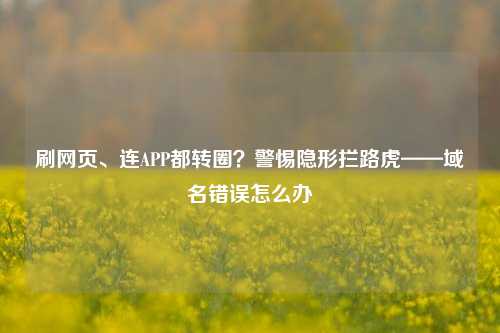 刷网页、连APP都转圈？警惕隐形拦路虎——域名错误怎么办