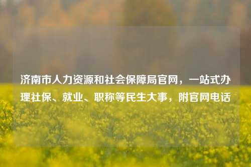 济南市人力资源和社会保障局官网，一站式办理社保、就业、职称等民生大事，附官网电话
