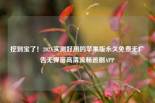 挖到宝了!202X实测好用的苹果版永久免费无广告无弹窗高清流畅追剧APP