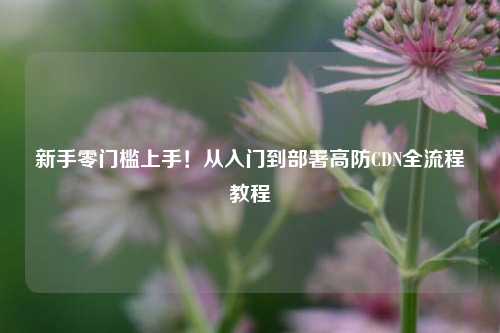 新手零门槛上手!从入门到部署高防CDN全流程教程