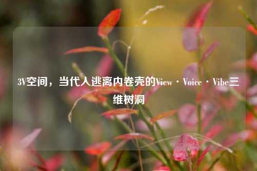 3V空间,当代人逃离内卷壳的View·Voice·Vibe三维树洞