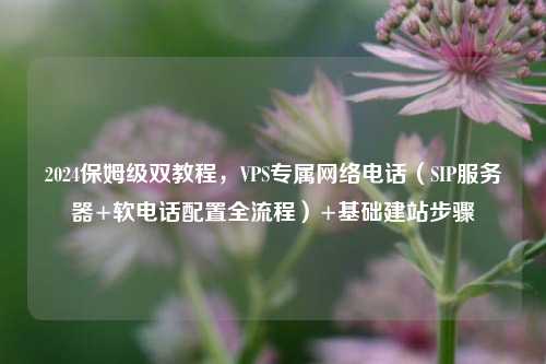 2024保姆级双教程,VPS专属网络电话(SIP服务器+软电话配置全流程)+基础建站步骤