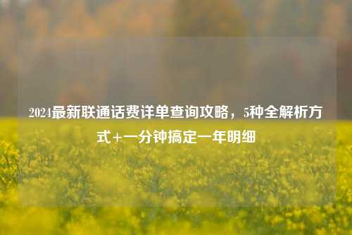 2024最新联通话费详单查询攻略，5种全解析方式+一分钟搞定一年明细