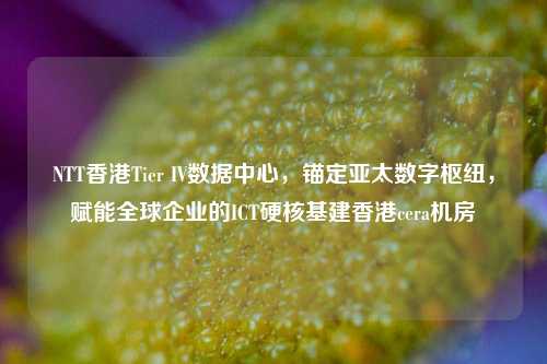 NTT香港Tier IV数据中心,锚定亚太数字枢纽,赋能全球企业的ICT硬核基建香港cera机房