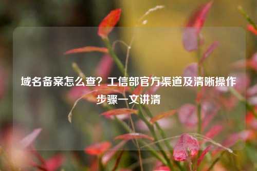 域名备案怎么查?工信部官方渠道及清晰操作步骤一文讲清