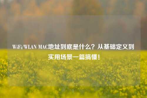 WiFi/WLAN MAC地址到底是什么?从基础定义到实用场景一篇搞懂!