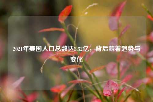 2021年美国人口总数达3.32亿,背后藏着趋势与变化