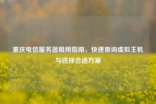 重庆电信服务器租用指南,快速查询虚拟主机与选择合适方案
